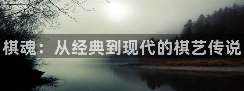 汗汗漫画目录：棋魂：从经典到现代的棋艺传说配图