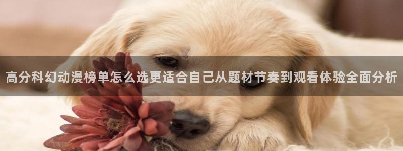 汗汗漫画中文网站：高分科幻动漫榜单怎么选更适合自己从题材节奏到观看体验全面分析配图
