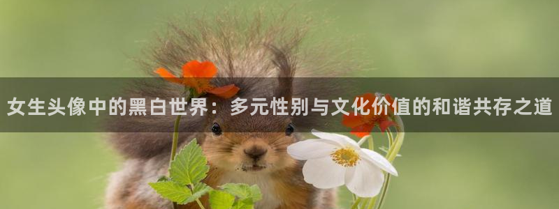 汗汗漫画更新最快:女生头像中的黑白世界:多元性别与文化价值的和谐共存之道配图
