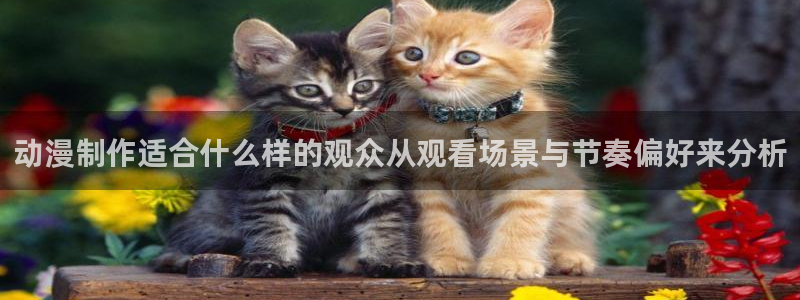 汗汗漫画完结作品大全:动漫制作适合什么样的观众从观看场景与节奏偏好来分析配图