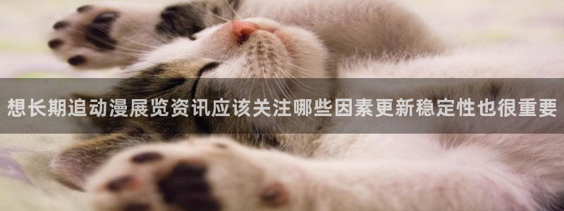 汗汗漫画大全免费:想长期追动漫展览资讯应该关注哪些因素更新稳定性也很重要配图