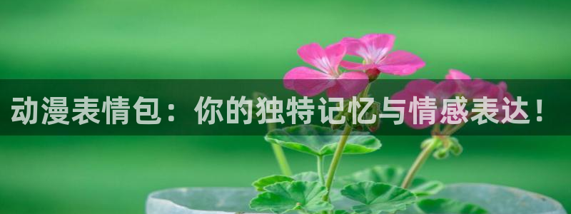 汗汗漫画阅读:动漫表情包:你的独特记忆与情感表达!配图