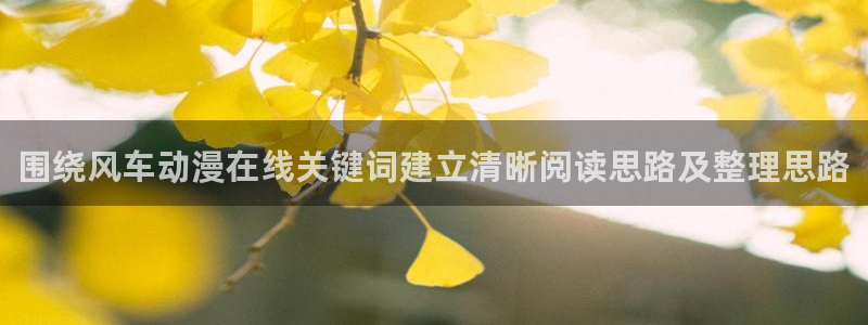 汗汗漫画中文阅读:围绕风车动漫在线关键词建立清晰阅读思路及整理思路配图