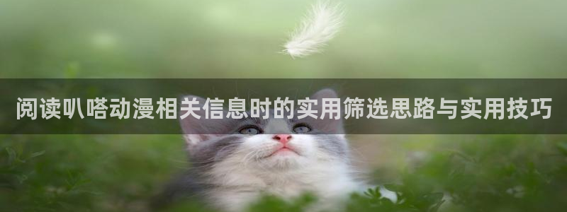 汗汗漫画网页版在线阅读:阅读叭嗒动漫相关信息时的实用筛选思路与实用技巧配图