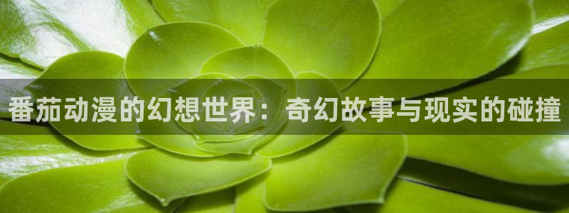 汗汗漫画推荐榜:番茄动漫的幻想世界:奇幻故事与现实的碰撞配图