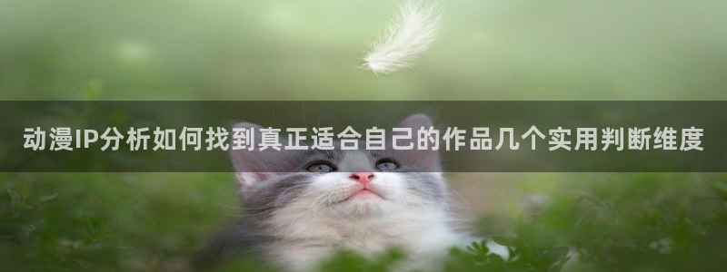 汗汗漫画2026:动漫IP分析如何找到真正适合自己的作品几个实用判断维度配图